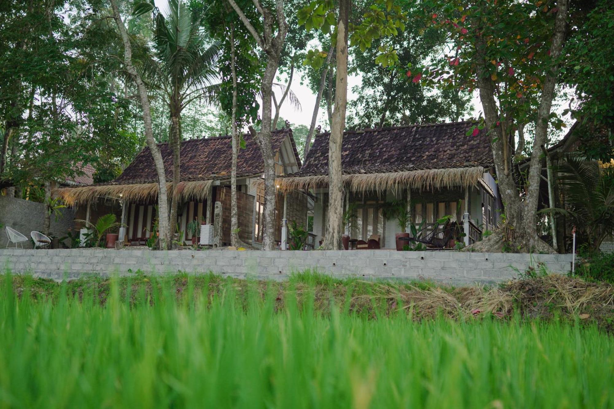 Sare - House With Panorama Rice Field View