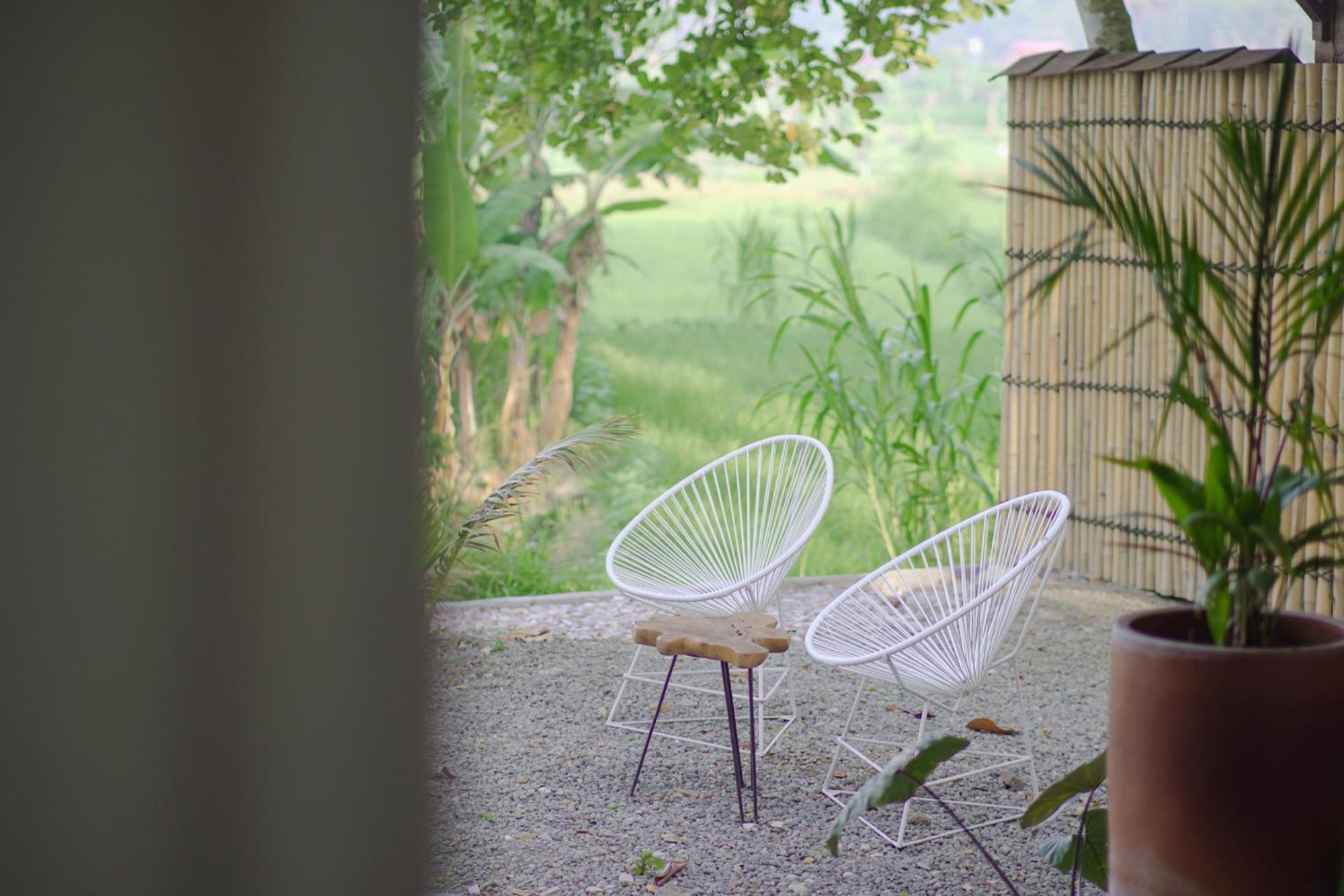 Sare - House With Panorama Rice Field View * Yogyakarta