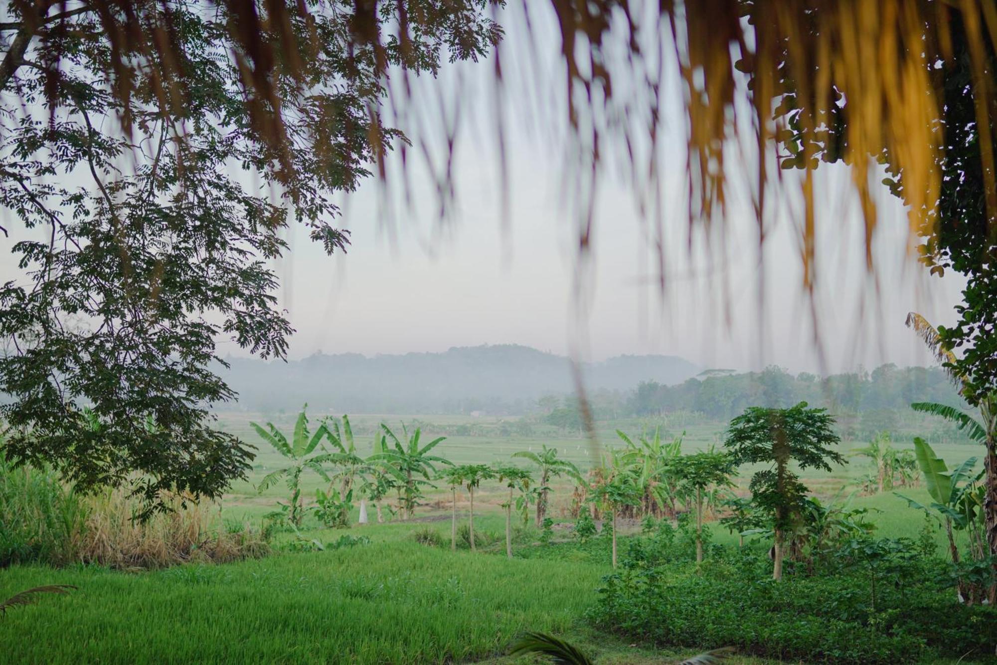 Sare - House With Panorama Rice Field View Villa
