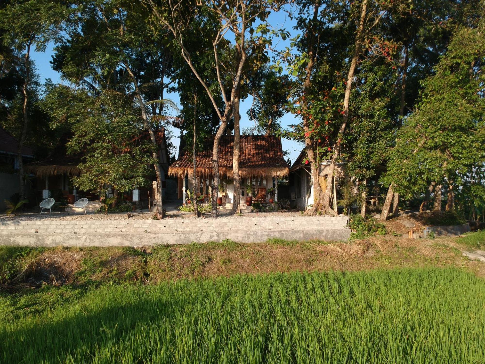 Sare - House With Panorama Rice Field View Villa