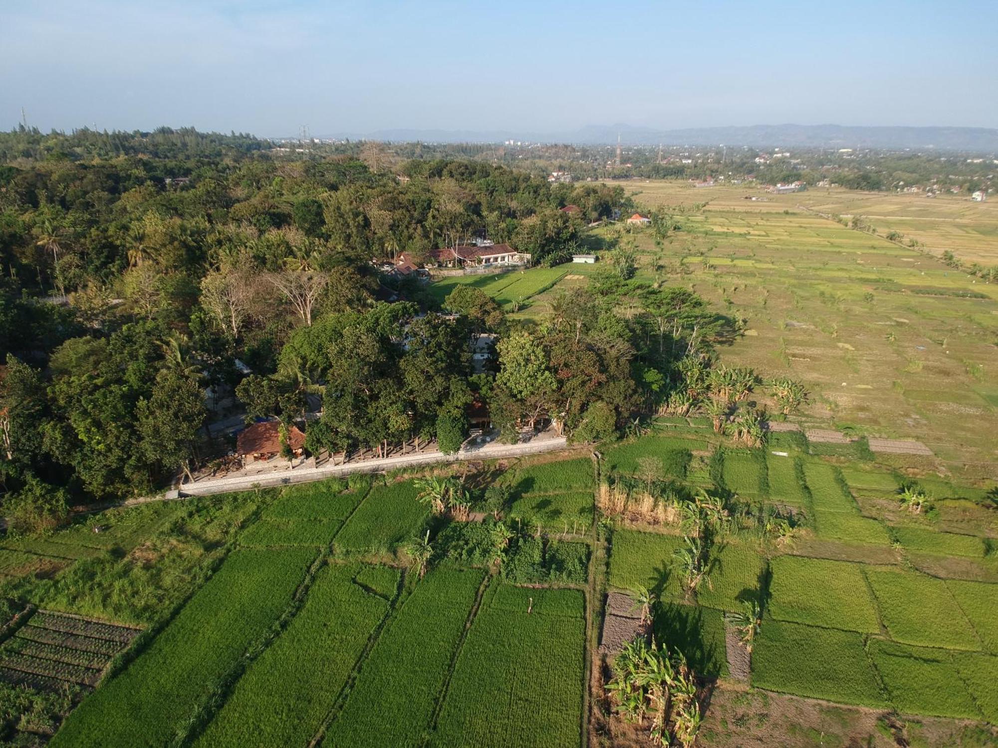 Sare - House With Panorama Rice Field View Yogyakarta