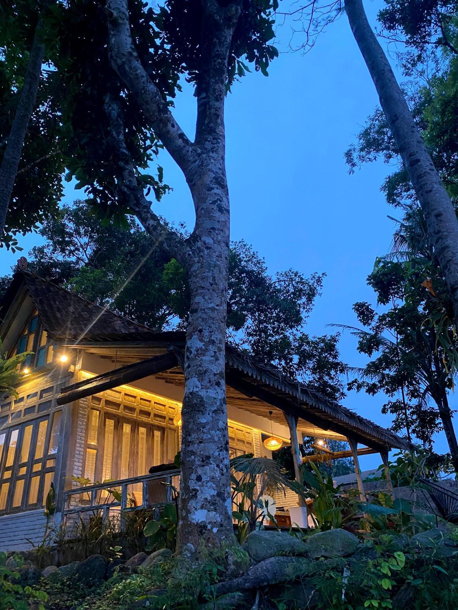 Sare - House With Panorama Rice Field View Villa Yogyakarta