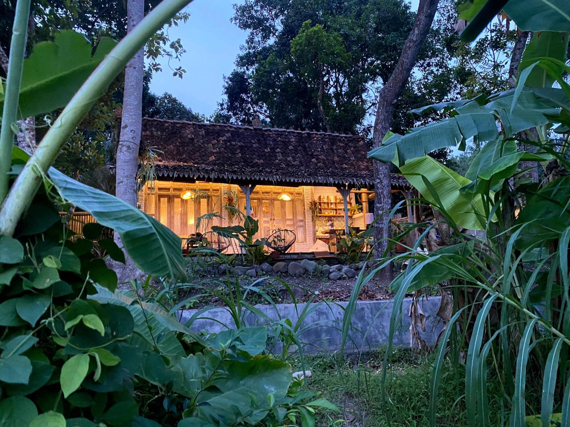Sare - House With Panorama Rice Field View Villa Yogyakarta