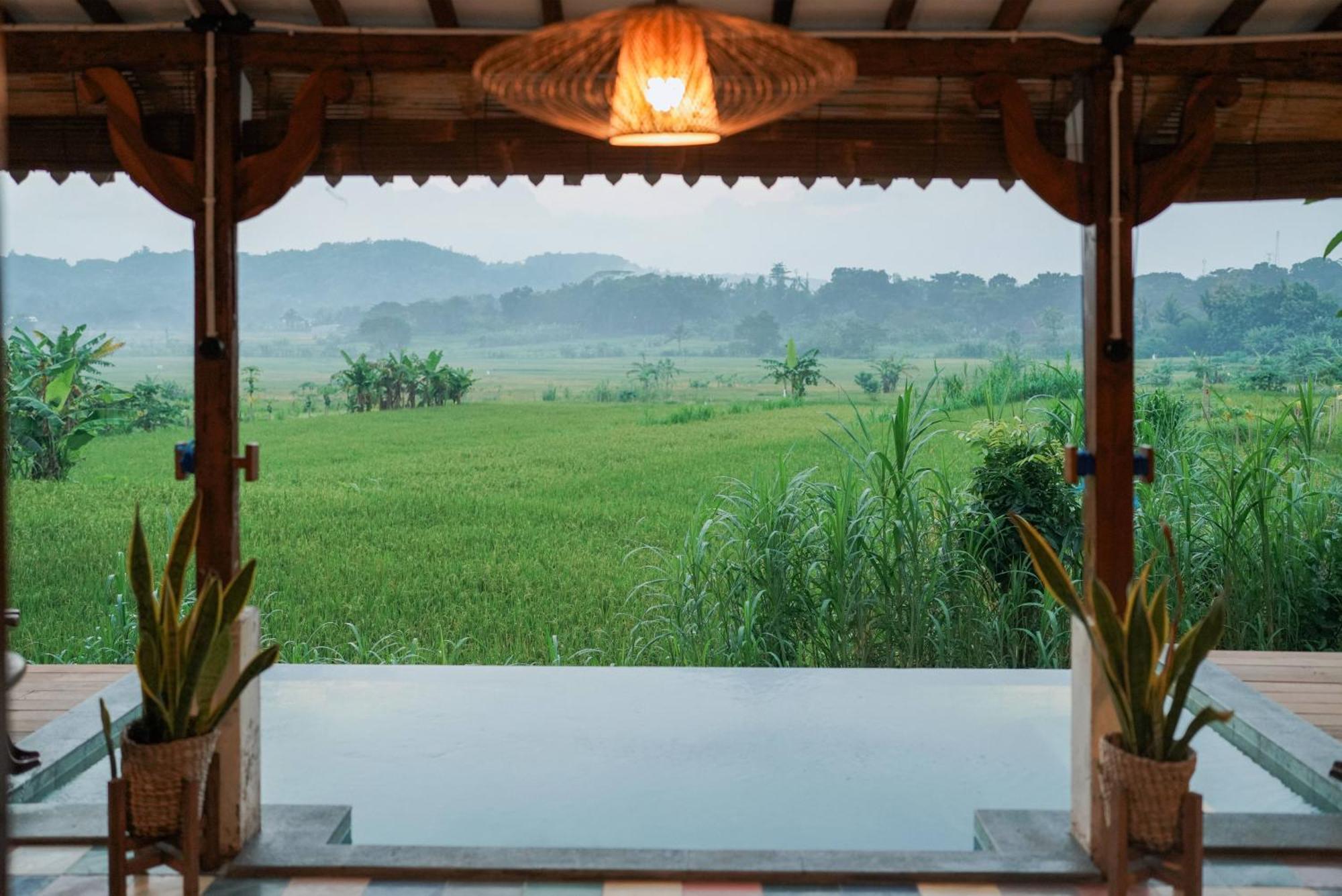 Sare - House With Panorama Rice Field View Yogyakarta